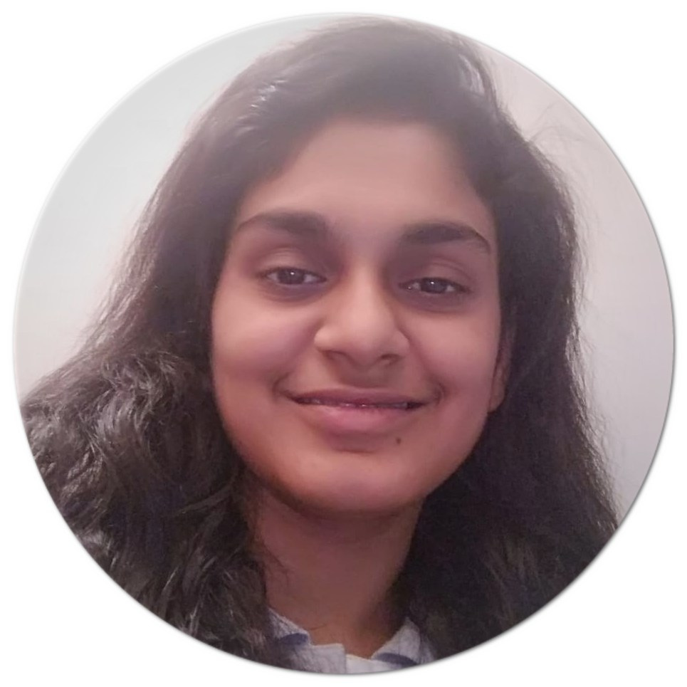 Raj Hansini